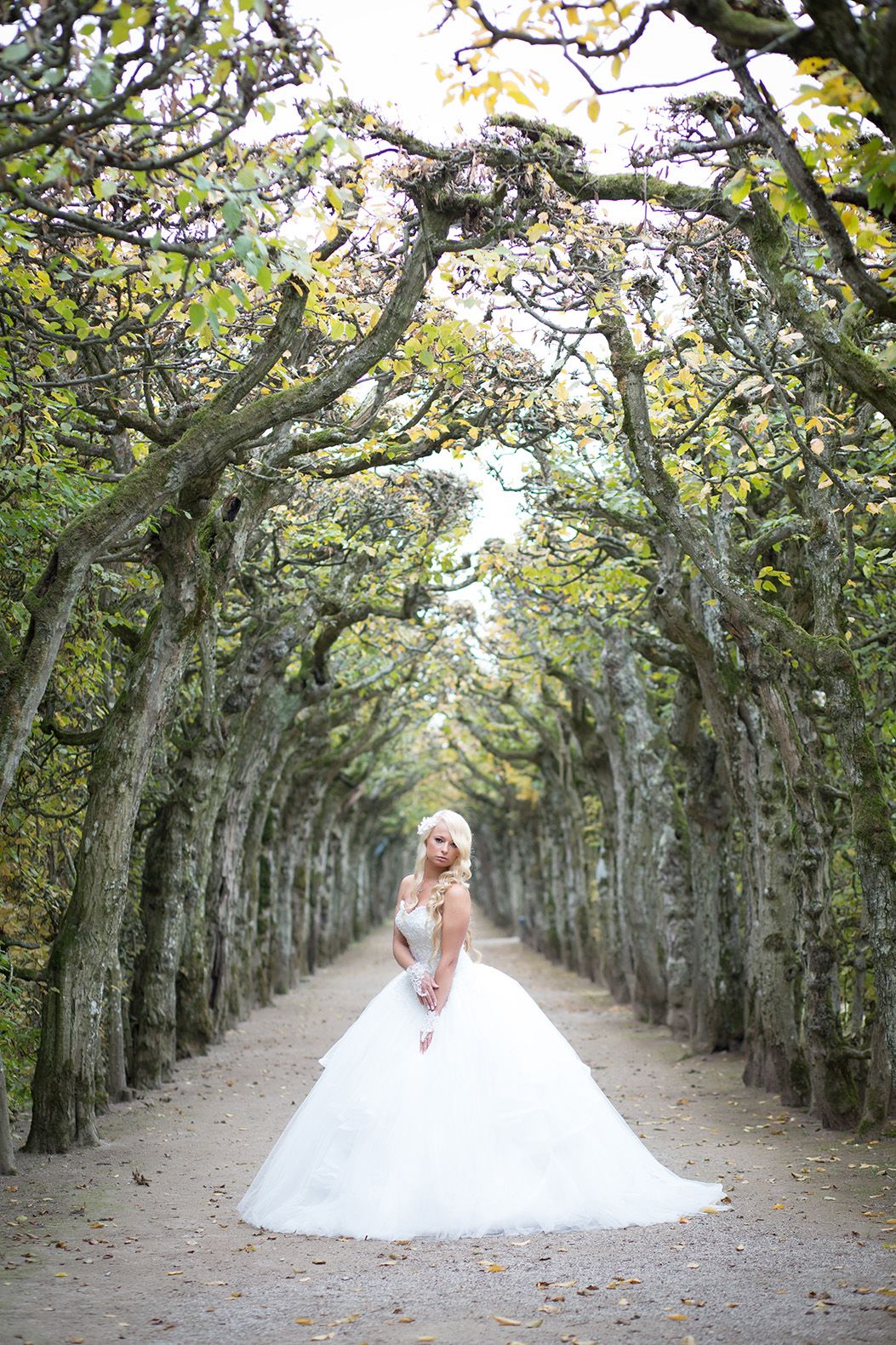 Braut in Prinzessinnen-Brautkleid in romantischer Baumallee
