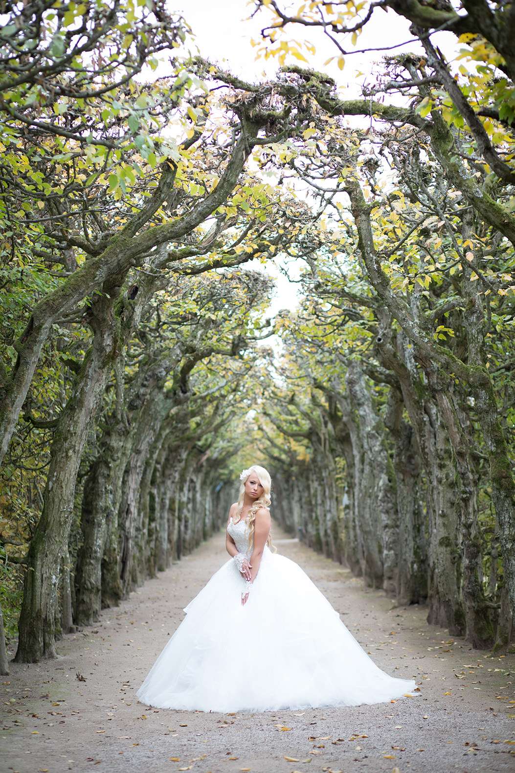 Braut im voluminösen Brautkleid steht in einer Baumallee, natürliche Stimmung.